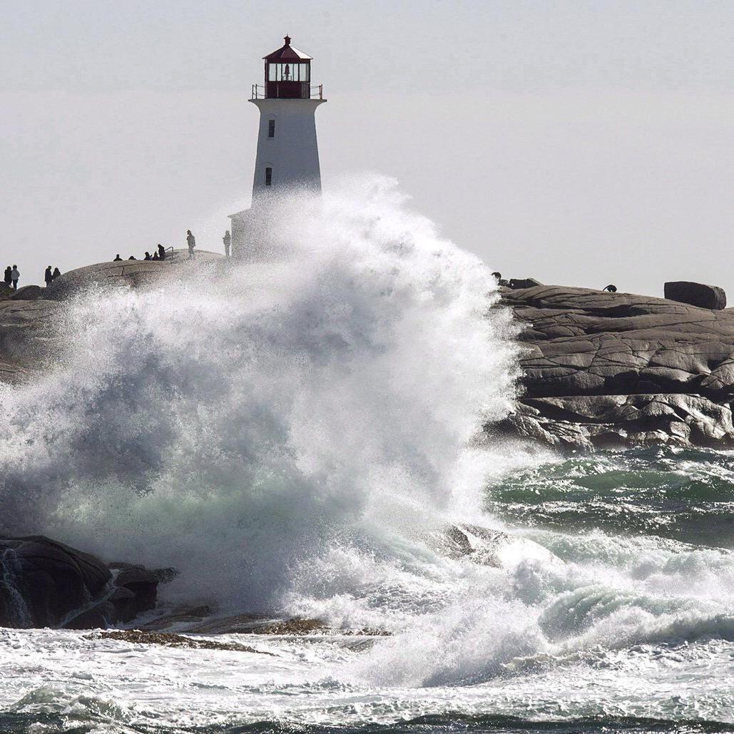 Fin spotted close to Nova Scotia beach forces swimmers out of water